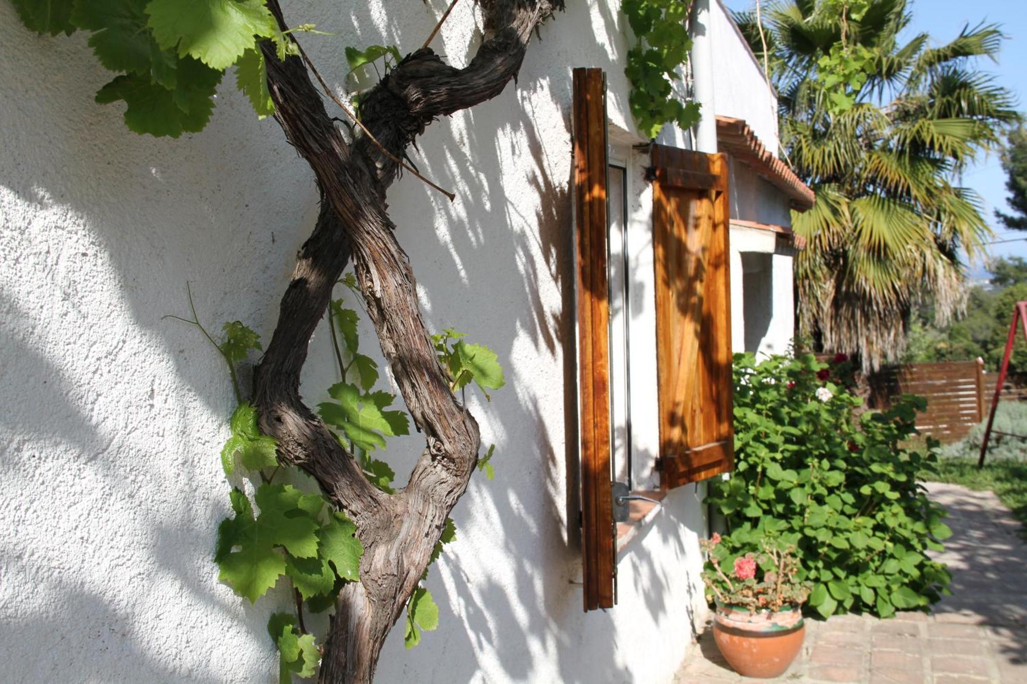 Masia Can Magan Lux, Ideal Grupos 20Pax Palafolls Exterior photo